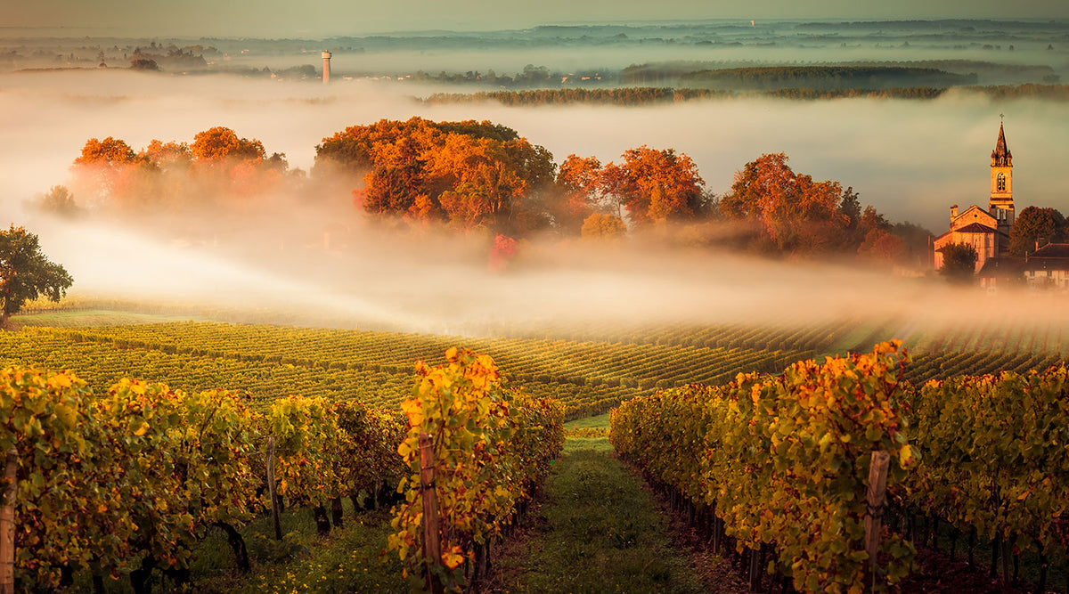 Rooted in France. Built for a life well lived.
